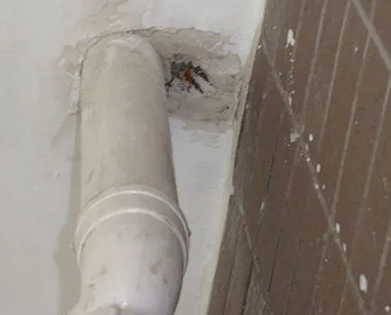 无为漏水检测哪家好